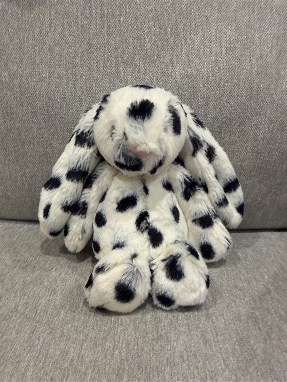 Special Edition Bashful Bunny Phoebe retired